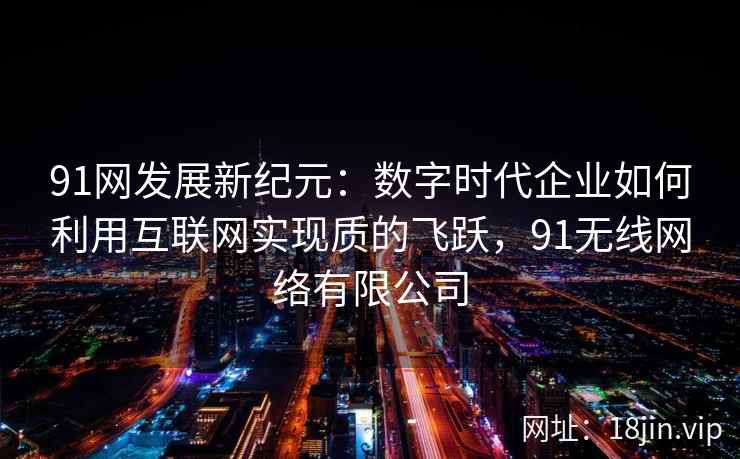 91网发展新纪元：数字时代企业如何利用互联网实现质的飞跃，91无线网络有限公司