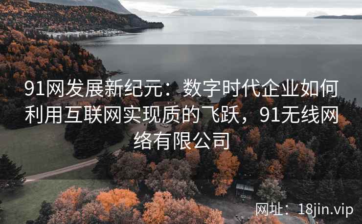 91网发展新纪元：数字时代企业如何利用互联网实现质的飞跃，91无线网络有限公司