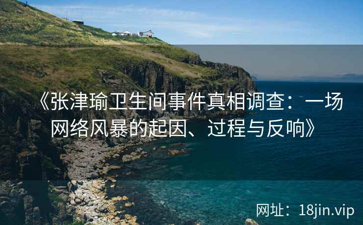 《张津瑜卫生间事件真相调查：一场网络风暴的起因、过程与反响》